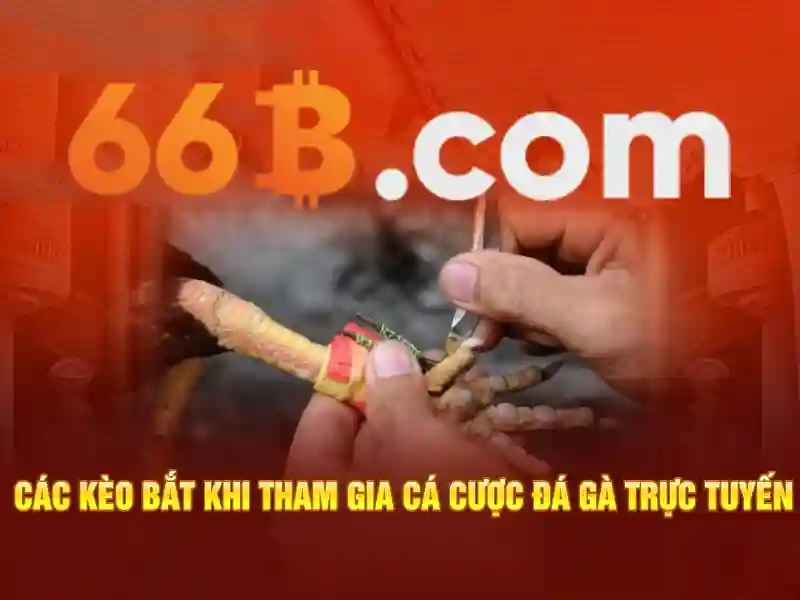  casino trực tuyến - 66B