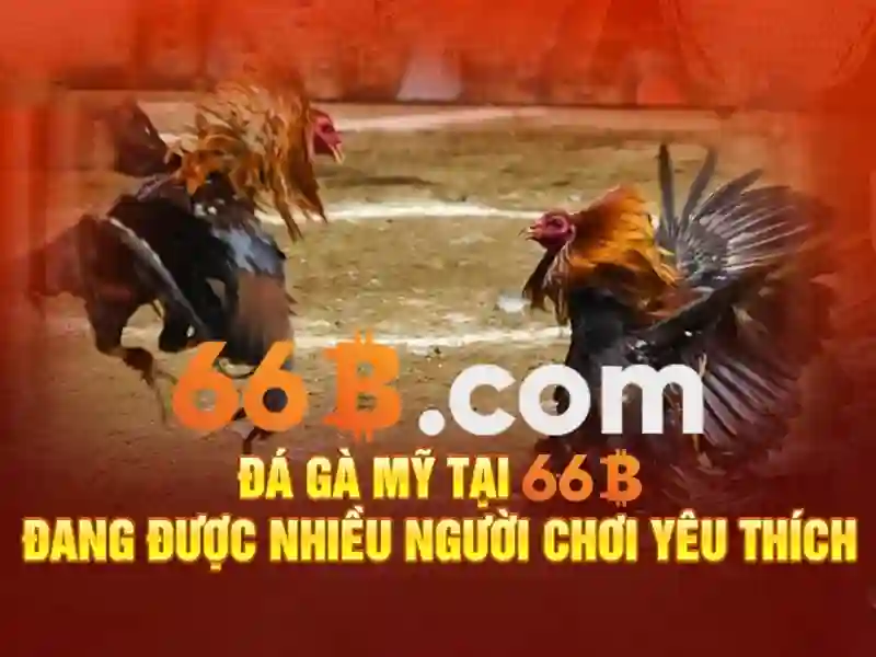 66b: Tổng quan cược trực tuyến và chiến lược tham gia