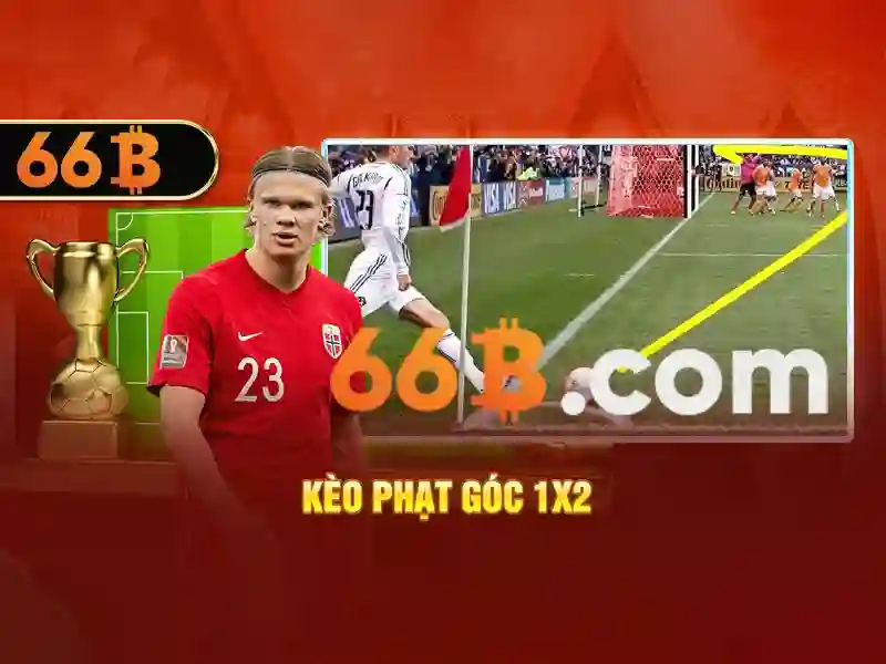  66B hợp pháp - 66B