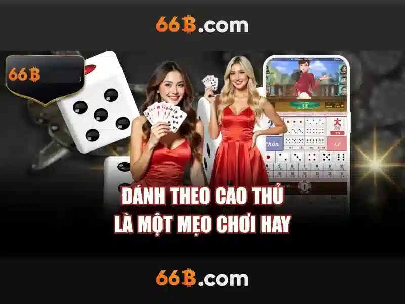 cờ vua 66B - 66B