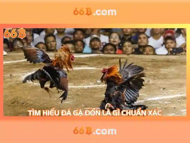  Game Bài 3D - 66B