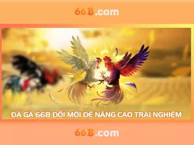  đăng ký 66B - 66B