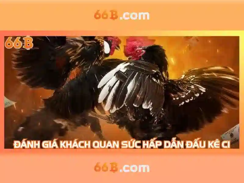 66b: Tổng quan cược trực tuyến và chiến lược tham gia