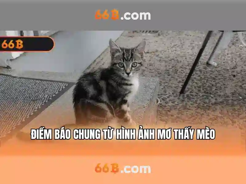 66b: Tổng quan cược trực tuyến và chiến lược tham gia