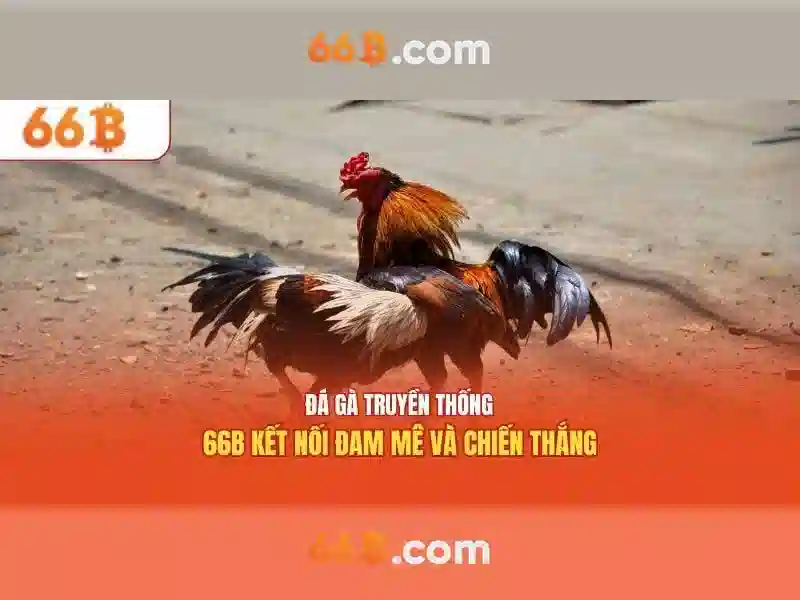 tra cứu 66B - 66B