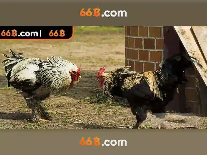 Đăng Ký 66B: Trải Nghiệm Slot Đỉnh Cao Với Chương Trình Ưu Đãi Hấp Dẫn - 66B