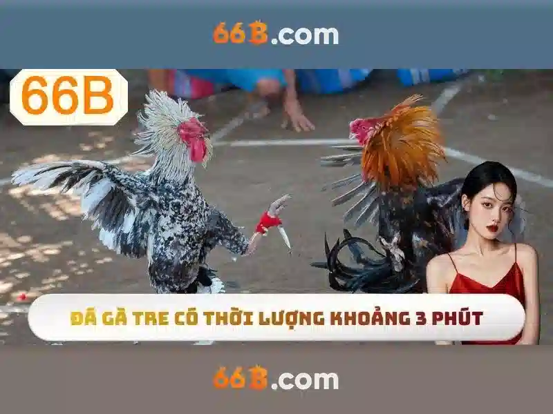  bảo mật Slot 66B - 66B
