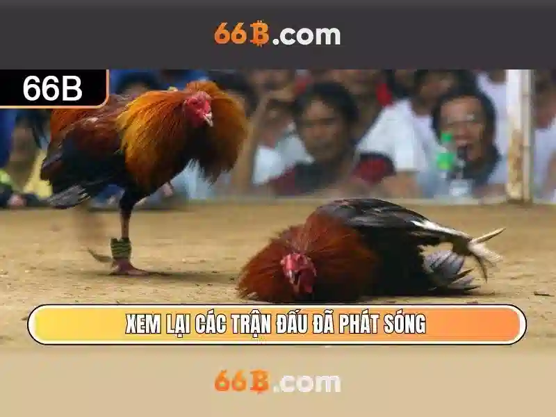 Đại Lý - 66B