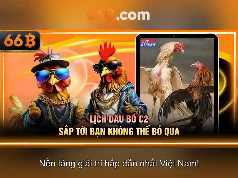  đăng nhập 66b - 66B