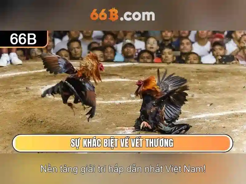 Chơi Có Trách Nhiệm – Link Dự Phòng 66B Đảm Bảo An Toàn Trong Cá Cược Slot - 66B