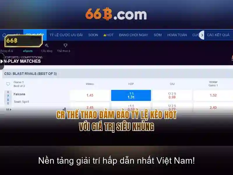  dịch vụ chăm sóc khách hàng - 66B