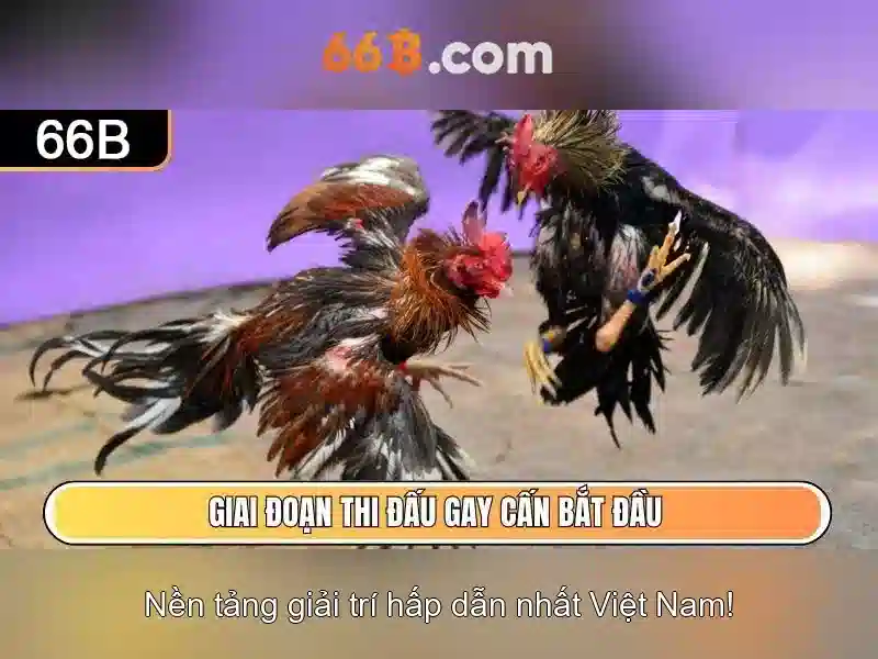 Casino 66B – Trải Nghiệm Slot Đỉnh Cao Với Casino 66B - 66B
