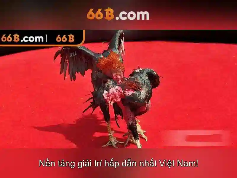 slot 66b - 66B
