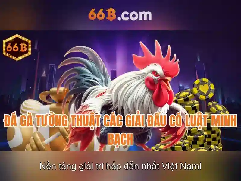 Hỗ trợ 66B – Giải Pháp Tối Ưu Cho Người Chơi Slot 2026 - 66B