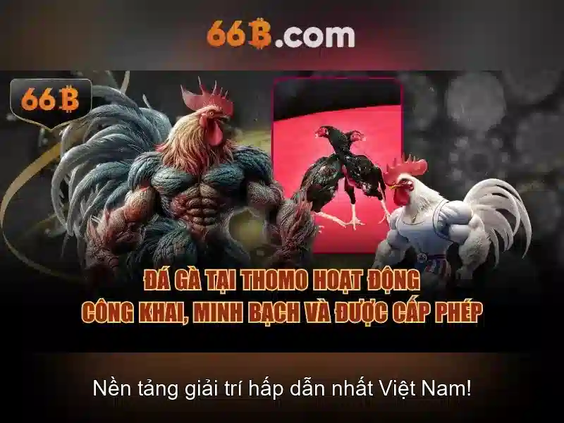 66B - 66B