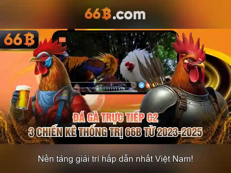  66b chính thức - 66B