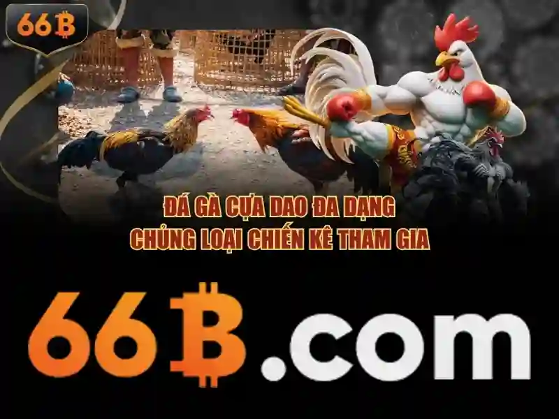  Mẹo Cá Cược - 66B