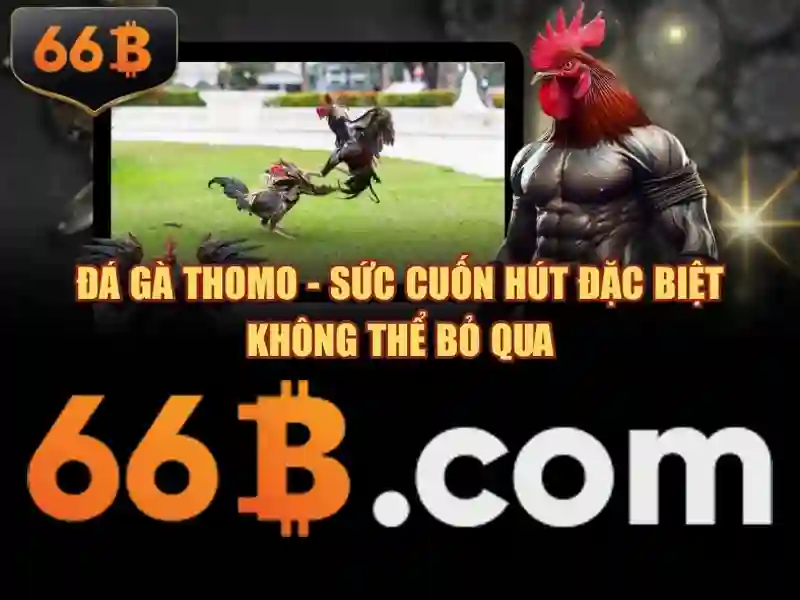 điều kiện 66B - 66B