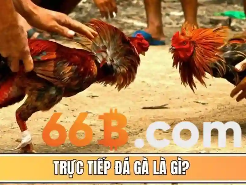 slot trực tuyến - 66B
