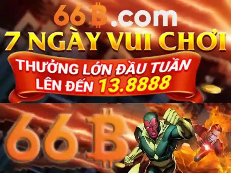 66B liên hệ - 66B