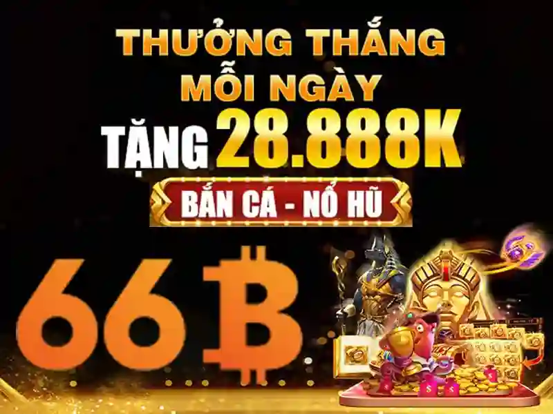 nhà cái 66b - 66B
