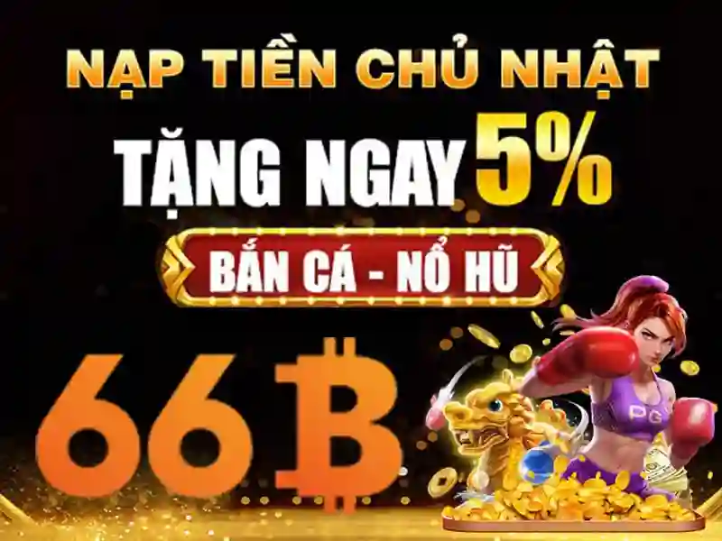  cá độ thể thao - 66B